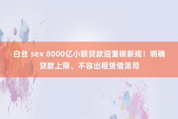 白丝 sex 8000亿小额贷款迎重磅新规！明确贷款上限、不容出租赁借派司