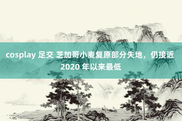 cosplay 足交 芝加哥小麦复原部分失地，仍接近 2020 年以来最低