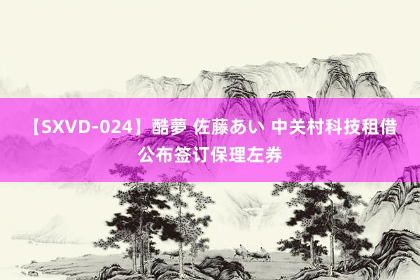 【SXVD-024】酷夢 佐藤あい 中关村科技租借公布签订保理左券