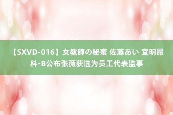 【SXVD-016】女教師の秘蜜 佐藤あい 宜明昂科-B公布张薇获选为员工代表监事