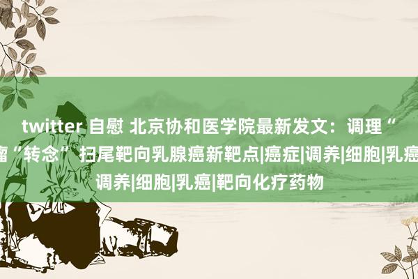 twitter 自慰 北京协和医学院最新发文：调理“自噬”约束肿瘤“转念” 扫尾靶向乳腺癌新靶点|癌症|调养|细胞|乳癌|靶向化疗药物